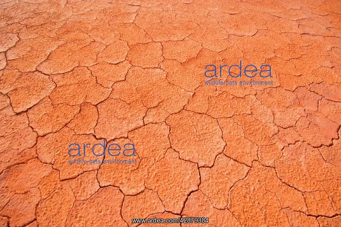 : Dried-up earth - the hot sun in the Simpson Desert : Dried-up earth - the hot sun in the Simpson Desert