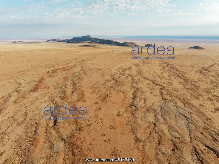 : Dried-up river beds and isolated mountain ridges at the edge of the Namib Desert : Dried-up river beds and isolated mountain ridges at the edge of the Namib Desert