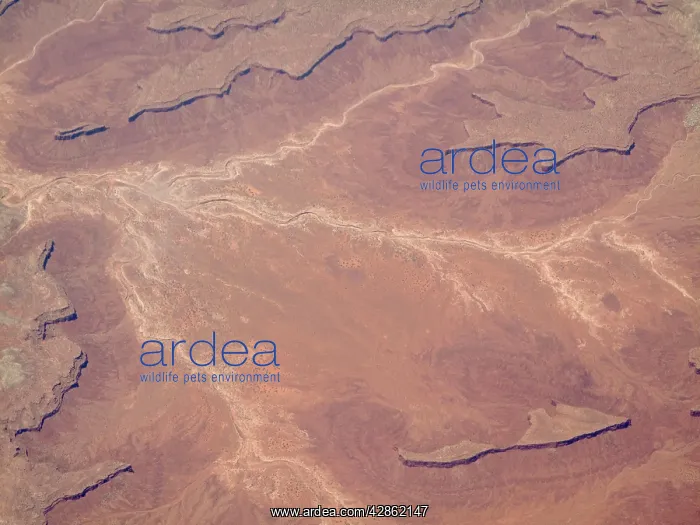: Dried-up riverbeds arid desert country : Dried-up riverbeds arid desert country