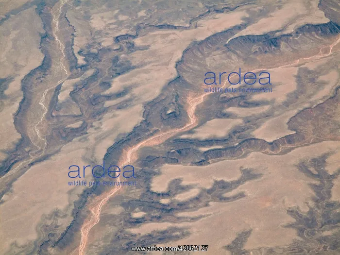 : Dried-up riverbeds arid desert country - Aerial view : Dried-up riverbeds arid desert country - Aerial view