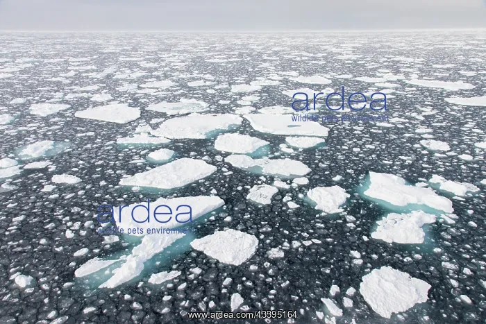 : Drift ice in the Arctic Ocean - Svalbard - Norway : Drift ice in the Arctic Ocean - Svalbard - Norway