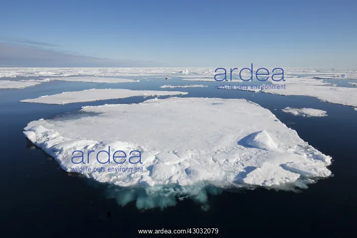 : Drifting ice in the arctic sea near Nordaustland : Drifting ice in the arctic sea near Nordaustland