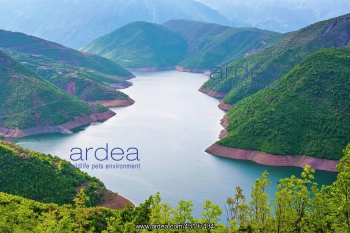 : Drin River, dammed by the Fierza Reservoir, Albania : Drin River, dammed by the Fierza Reservoir, Albania