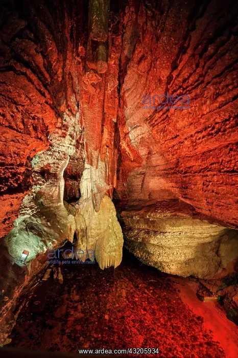 : Dripstone cave, Erdmannshnhle, Hasler cave, Hasel : Dripstone cave, Erdmannshnhle, Hasler cave, Hasel