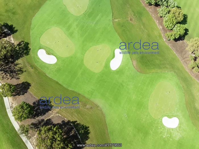 : Driving range with greens and bunkers at the San Roque Club Golf Resort : Driving range with greens and bunkers at the San Roque Club Golf Resort