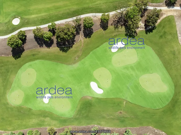 : Driving range with greens and bunkers at the San Roque Club Golf Resort : Driving range with greens and bunkers at the San Roque Club Golf Resort