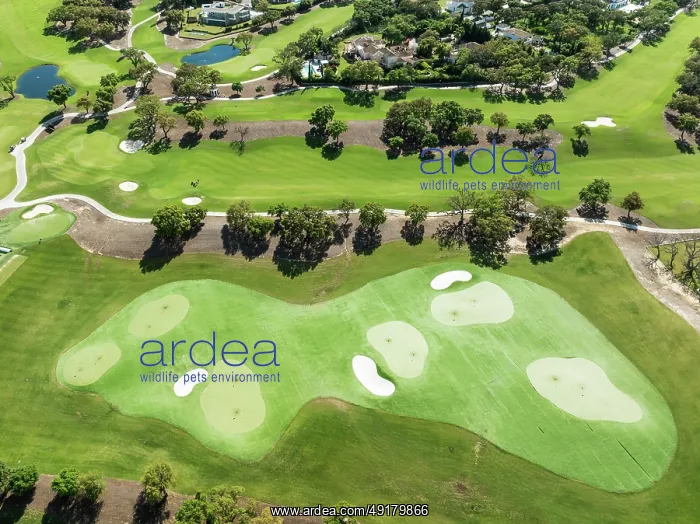 : Driving range with greens and bunkers at the San Roque Club Golf Resort : Driving range with greens and bunkers at the San Roque Club Golf Resort