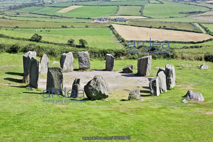 : Drombeg Stone Circle, County Cork, Ireland, Europe : Drombeg Stone Circle, County Cork, Ireland, Europe