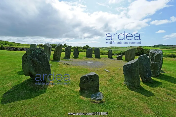 : Drombeg Stone Circle, near Glandore, County Cork : Drombeg Stone Circle, near Glandore, County Cork
