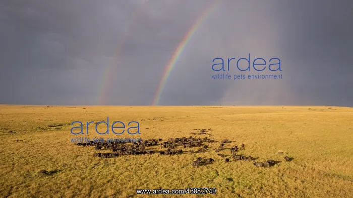 : from a drone : from a drone