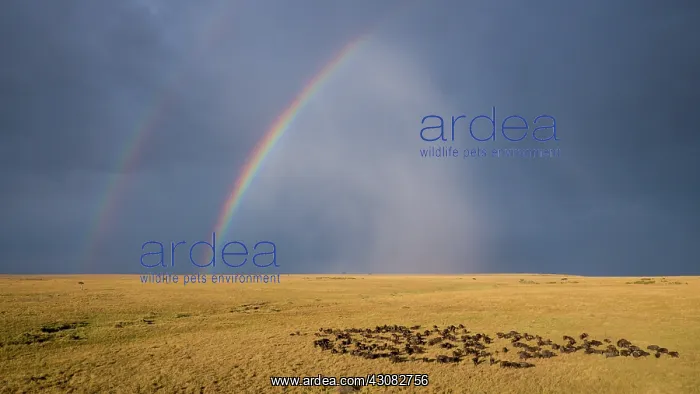 : from a drone : from a drone