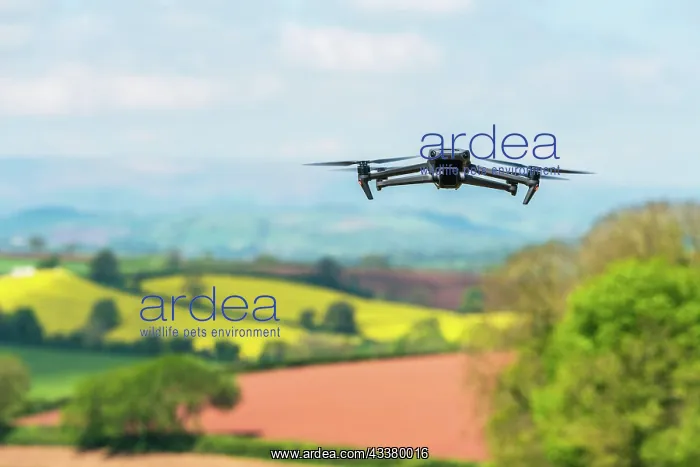 : Drone in flight over fields and farms, Devon, England : Drone in flight over fields and farms, Devon, England