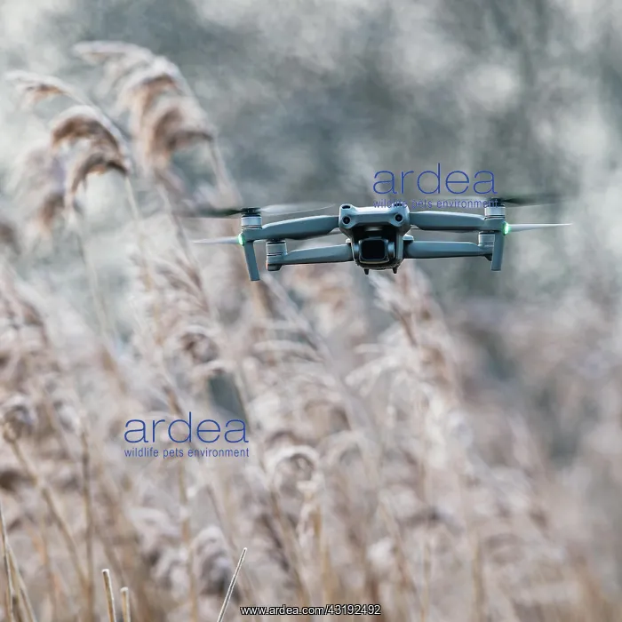 : Drone in flight over marshland, Devon, England : Drone in flight over marshland, Devon, England