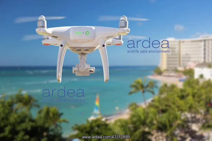  : Drone flying above waikiki beach in hawaii