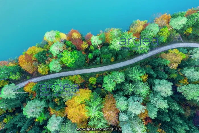 : Drone shot, autumn in the Swabian Forest, Herrenbachstausee : Drone shot, autumn in the Swabian Forest, Herrenbachstausee
