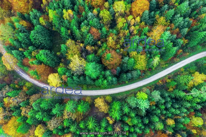 : Drone shot, autumn in the Swabian Forest, Herrenbachtal : Drone shot, autumn in the Swabian Forest, Herrenbachtal