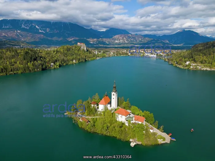  : Drone shot, Bled Island with St. Marys Church
