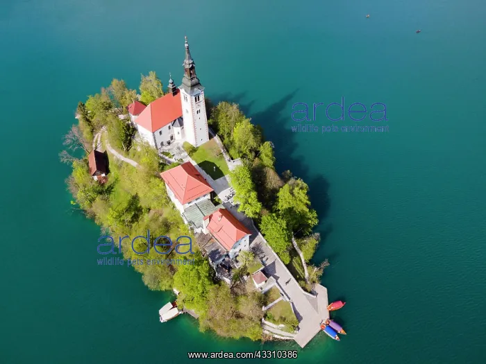 : Drone shot, Bled Island with St. Marys Church : Drone shot, Bled Island with St. Marys Church