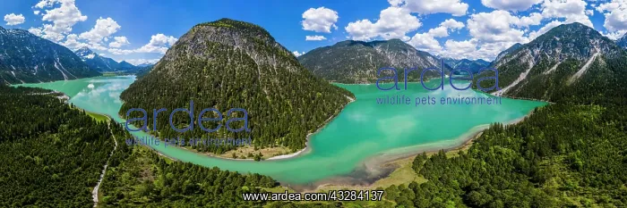 : Drone shot, emerald green Lake Plansee surrounded : Drone shot, emerald green Lake Plansee surrounded