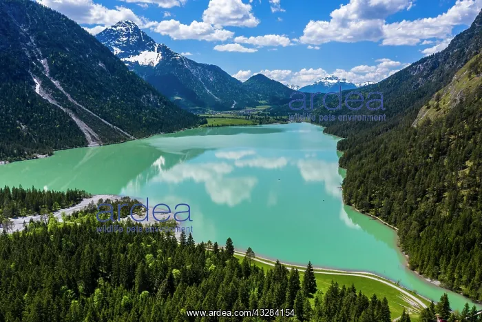 : Drone shot, emerald green Lake Plansee surrounded : Drone shot, emerald green Lake Plansee surrounded