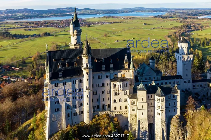 : Drone shot, Neuschwanstein Castle in autumn, Forggensee : Drone shot, Neuschwanstein Castle in autumn, Forggensee