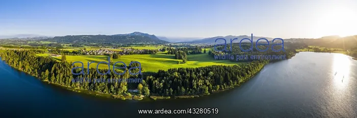 : Drone shot, Niedersonthofener See, Oberallg&, x4d6c; : Drone shot, Niedersonthofener See, Oberallg&, x4d6c;