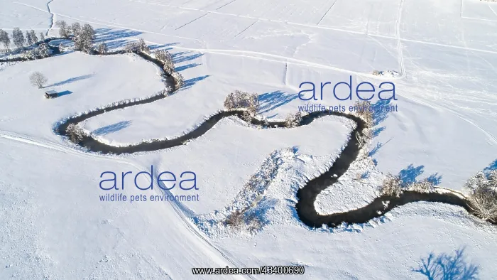 : Drone shot of the river Schmutter meandering naturally : Drone shot of the river Schmutter meandering naturally