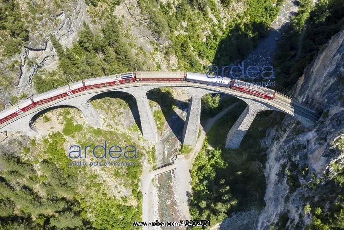: Drone shot of train passing the Landwasserviadukt : Drone shot of train passing the Landwasserviadukt