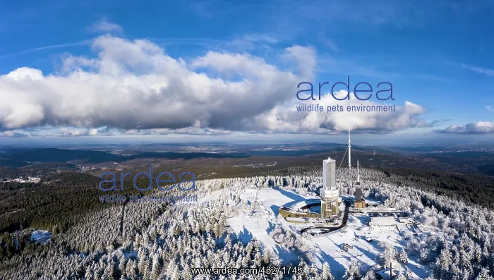 : Drone shot, transmission mast of the Hessian radio : Drone shot, transmission mast of the Hessian radio