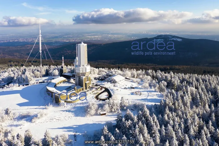 : Drone shot, transmission mast of the Hessian radio : Drone shot, transmission mast of the Hessian radio