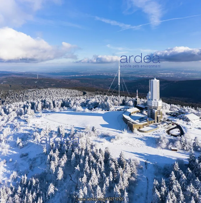: Drone shot, transmission mast of the Hessian radio : Drone shot, transmission mast of the Hessian radio