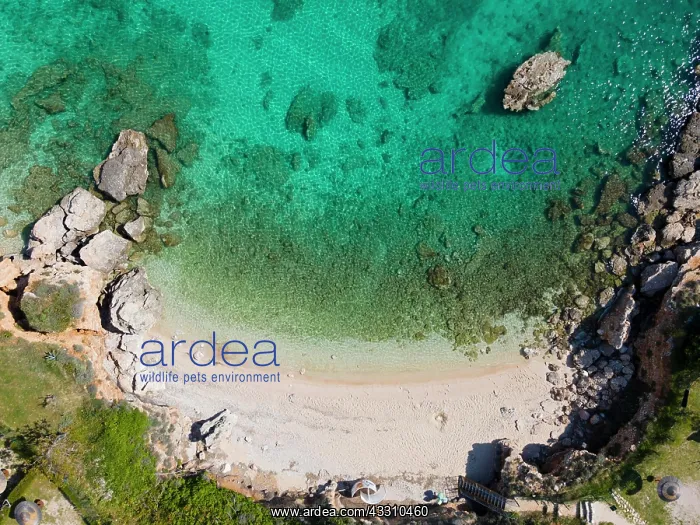 : Drone shot, turquoise bay, Stara Baska, Stara Ba?ka : Drone shot, turquoise bay, Stara Baska, Stara Ba?ka