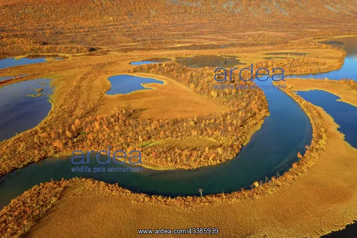 : Drone shot, view of the valley Vistasvagge with : Drone shot, view of the valley Vistasvagge with
