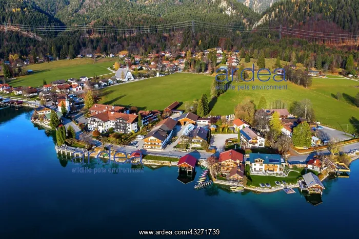 : Drone shot, Walchensee, Upper Bavaria, Bavaria : Drone shot, Walchensee, Upper Bavaria, Bavaria