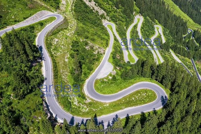 : Drone shot, winding road, Silvretta high alpine : Drone shot, winding road, Silvretta high alpine