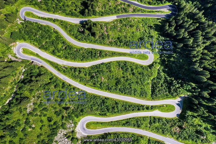 : Drone shot, winding road, Silvretta high alpine : Drone shot, winding road, Silvretta high alpine