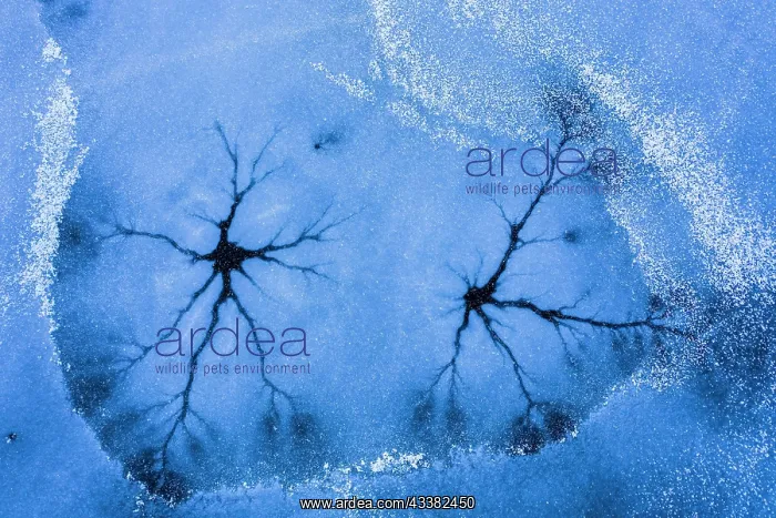 : Drone view. Abstract forms created on surface of : Drone view. Abstract forms created on surface of