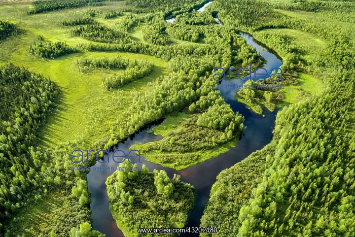 : Drone view, aerial photo of a river loop, meander : Drone view, aerial photo of a river loop, meander