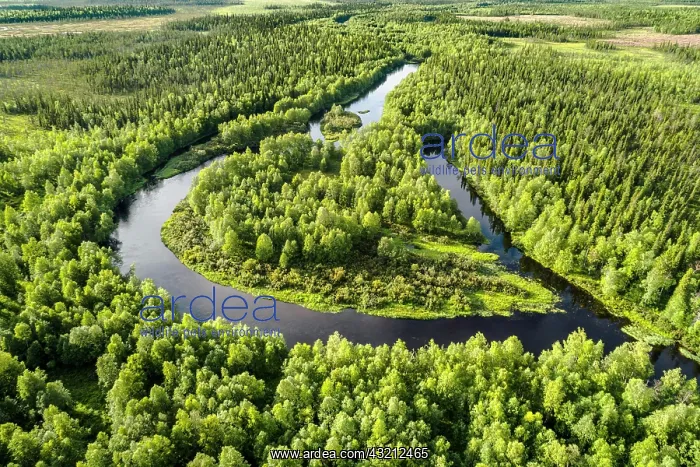 : Drone view, aerial photo of a river loop, meander : Drone view, aerial photo of a river loop, meander