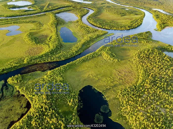 : Drone view, aerial photo of Vuontisj&, x4cb6;i, small : Drone view, aerial photo of Vuontisj&, x4cb6;i, small