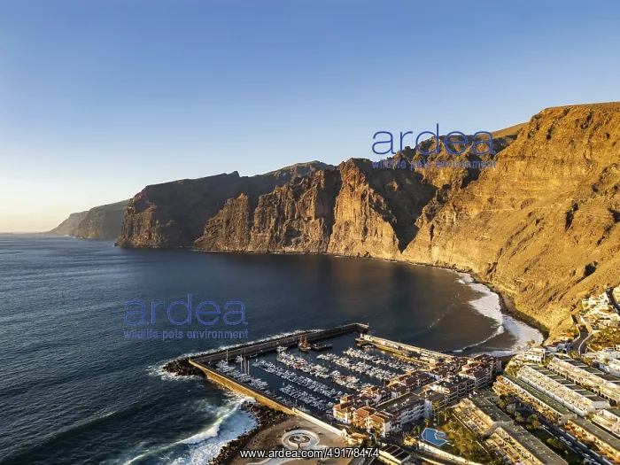 : Drone view of Los Gigantes and town Puerto de Santiago : Drone view of Los Gigantes and town Puerto de Santiago