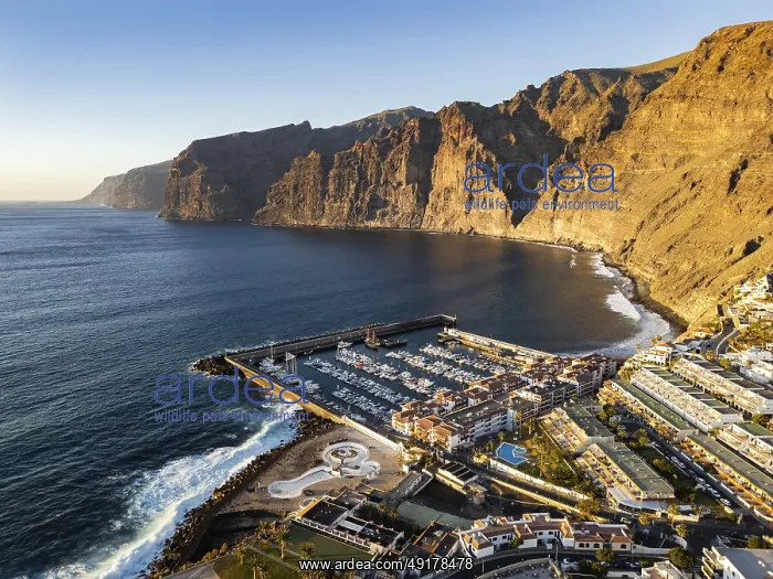 : Drone view of Los Gigantes and town Puerto de Santiago : Drone view of Los Gigantes and town Puerto de Santiago