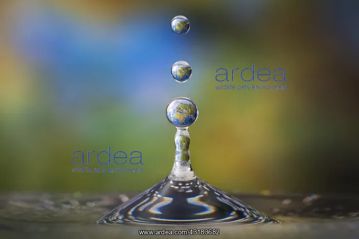 : Drops of water with the reflection of the map of : Drops of water with the reflection of the map of