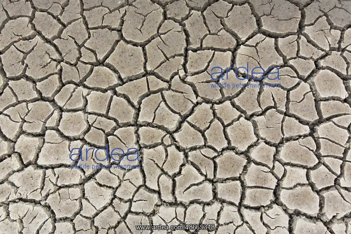 : Drought 09 : Drought 09