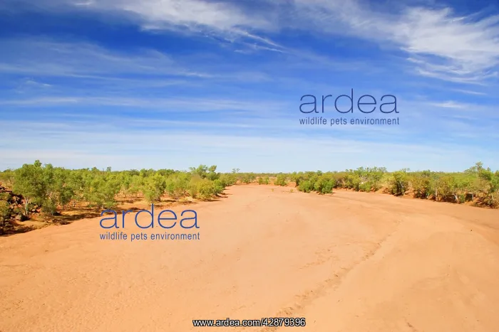 : drought - completely dried out riverbed, which : drought - completely dried out riverbed, which