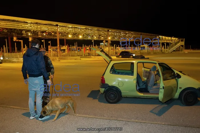 : For drugs on people during a road inspection - France : For drugs on people during a road inspection - France