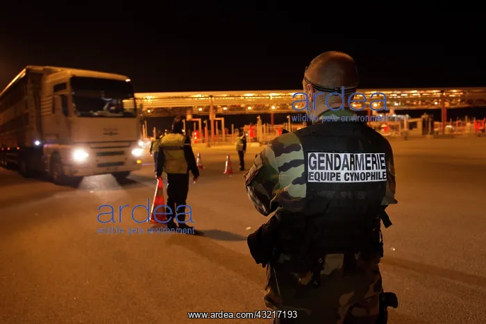 : For drugs during a traffic stop on the A8 - France : For drugs during a traffic stop on the A8 - France