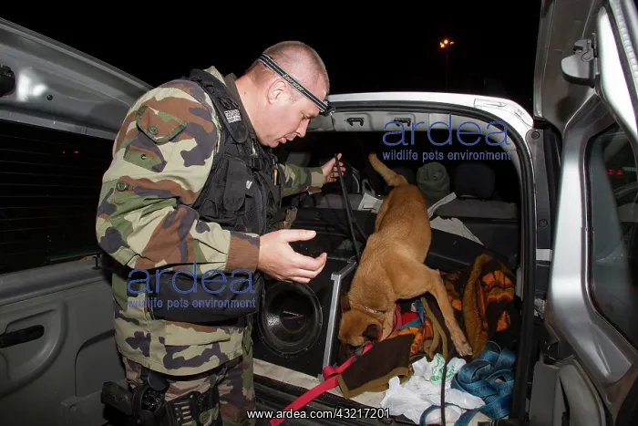 : For drugs during a traffic stop on the A8 - France : For drugs during a traffic stop on the A8 - France
