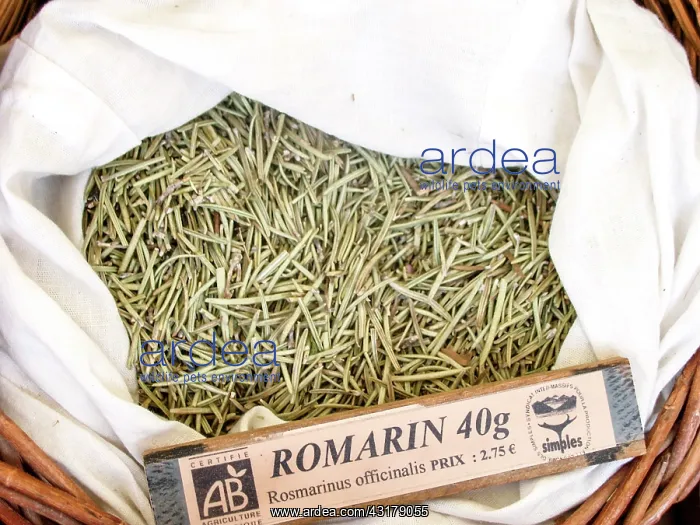 : Dry plant (Rosmarinus officinalis) for infusion : Dry plant (Rosmarinus officinalis) for infusion