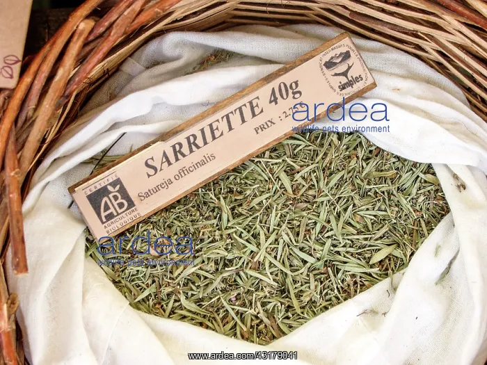 : Dry plant (Satureja officinalis) for infusion with : Dry plant (Satureja officinalis) for infusion with